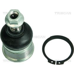 Šarnyras / girgždukas TRISCAN 8500 40509