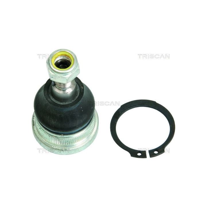 Šarnyras / girgždukas TRISCAN 8500 42010