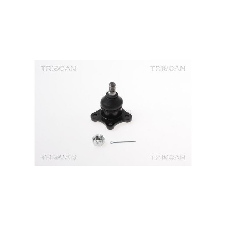 Šarnyras / girgždukas TRISCAN 8500 435020