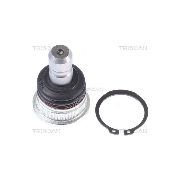 Šarnyras / girgždukas TRISCAN 8500 435057