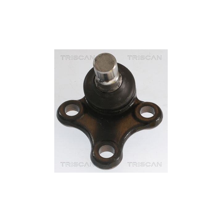 Šarnyras / girgždukas TRISCAN 8500 435082