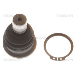 Šarnyras / girgždukas TRISCAN 8500 43521