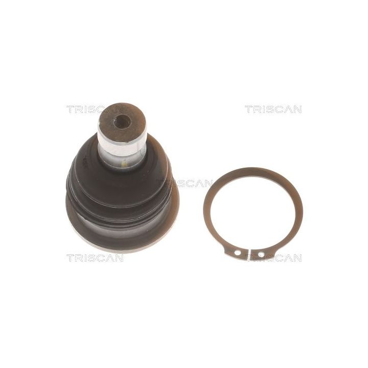 Šarnyras / girgždukas TRISCAN 8500 43521