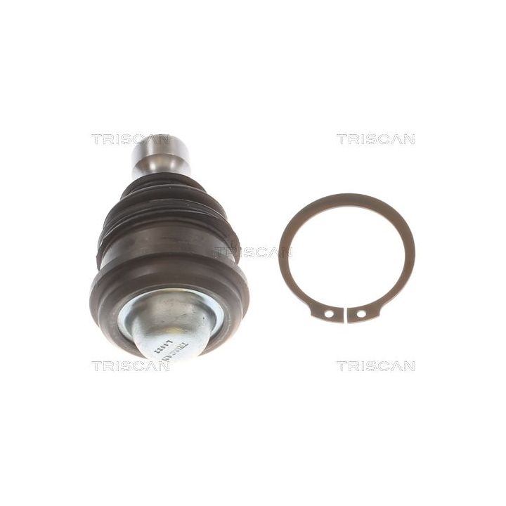 Šarnyras / girgždukas TRISCAN 8500 43521