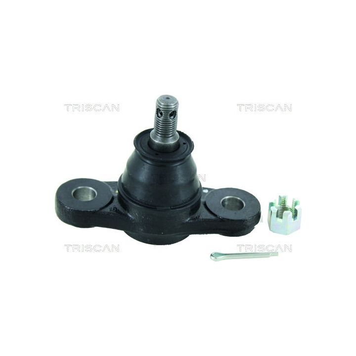 Šarnyras / girgždukas TRISCAN 8500 43537