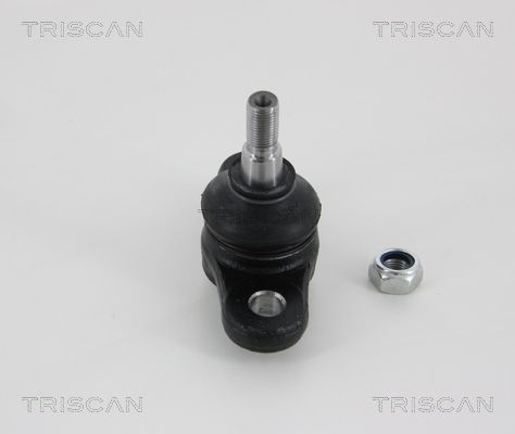 Šarnyras / girgždukas TRISCAN 8500 43545