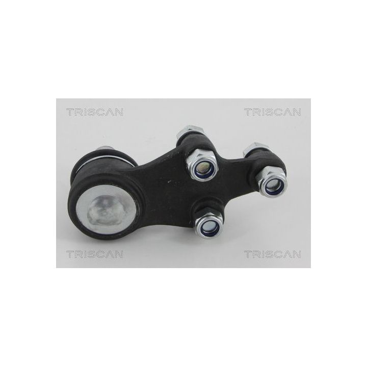 Šarnyras / girgždukas TRISCAN 8500 43547
