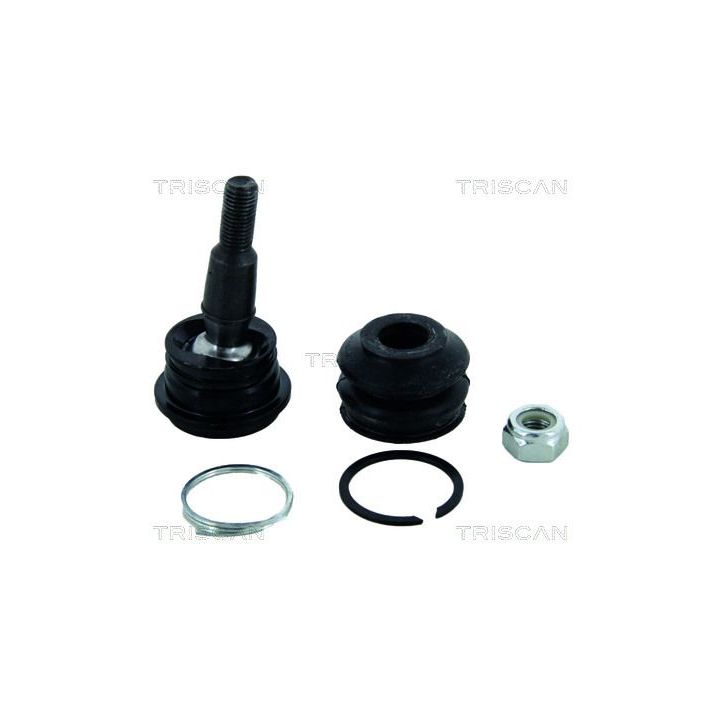 Šarnyras / girgždukas TRISCAN 8500 43549