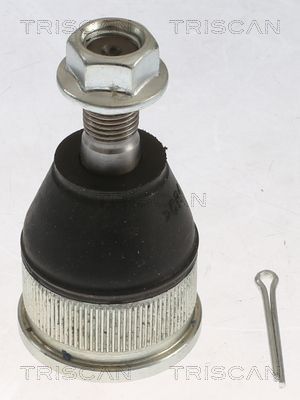 Šarnyras / girgždukas TRISCAN 8500 50579