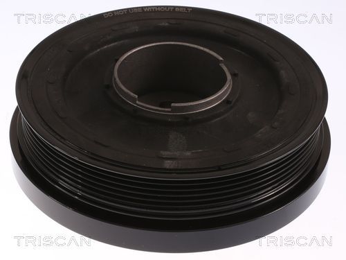 Skriemulys, alkūninis velenas TRISCAN 8643 10020