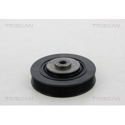 Skriemulys, alkūninis velenas TRISCAN 8643 25006