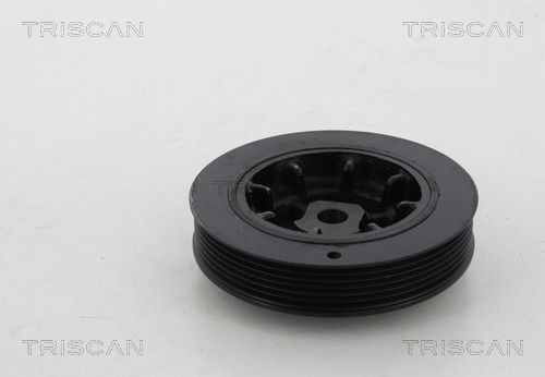 Skriemulys, alkūninis velenas TRISCAN 8643 25006