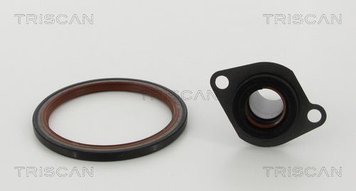 Veleno sandariklių komplektas, sankaba TRISCAN 8550 10010