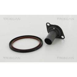 Veleno sandariklių komplektas, sankaba TRISCAN 8550 10011