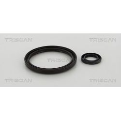 Veleno sandariklių komplektas, sankaba TRISCAN 8550 10016