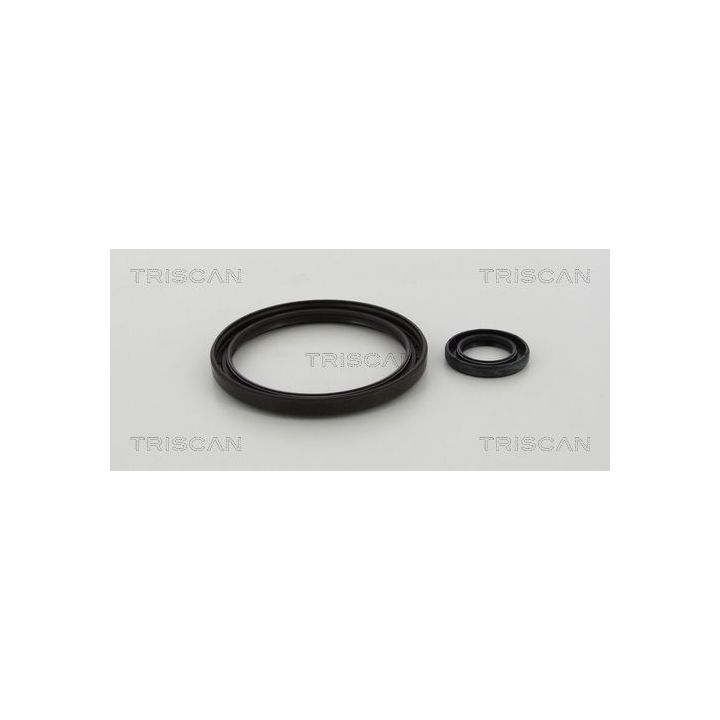 Veleno sandariklių komplektas, sankaba TRISCAN 8550 10016