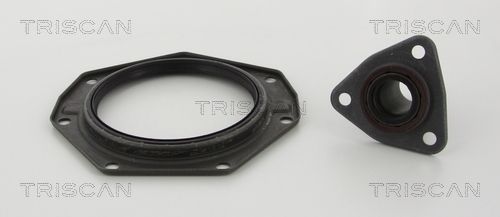 Veleno sandariklių komplektas, sankaba TRISCAN 8550 10018