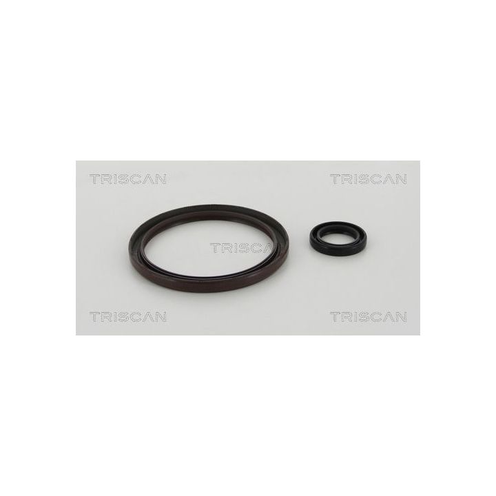 Veleno sandariklių komplektas, sankaba TRISCAN 8550 11006