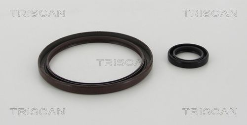 Veleno sandariklių komplektas, sankaba TRISCAN 8550 11006