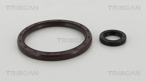 Veleno sandariklių komplektas, sankaba TRISCAN 8550 11006