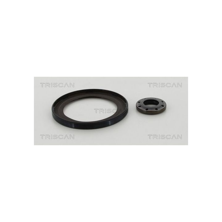 Veleno sandariklių komplektas, sankaba TRISCAN 8550 15006