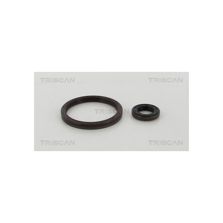 Veleno sandariklių komplektas, sankaba TRISCAN 8550 15007