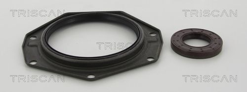 Veleno sandariklių komplektas, sankaba TRISCAN 8550 15010