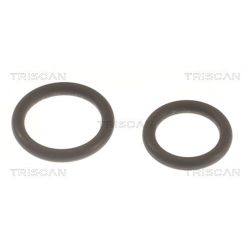 Tarpiklių rinkinys, purkštuko antgalis TRISCAN 596-1002