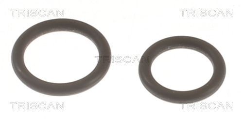 Tarpiklių rinkinys, purkštuko antgalis TRISCAN 596-1002