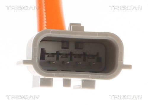 Lambda jutiklis TRISCAN 8845 25064