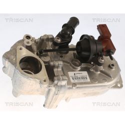 Aušintuvas, išmetamųjų dujų recirkuliacija TRISCAN 8813 10107