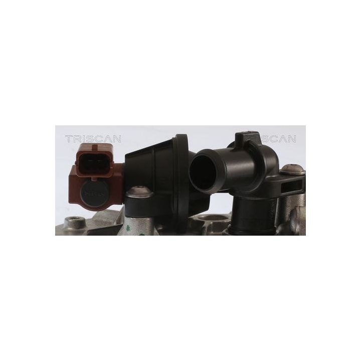 Aušintuvas, išmetamųjų dujų recirkuliacija TRISCAN 8813 10107