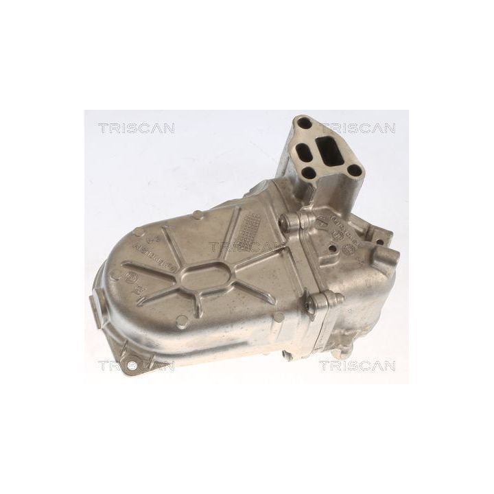 Aušintuvas, išmetamųjų dujų recirkuliacija TRISCAN 8813 10107