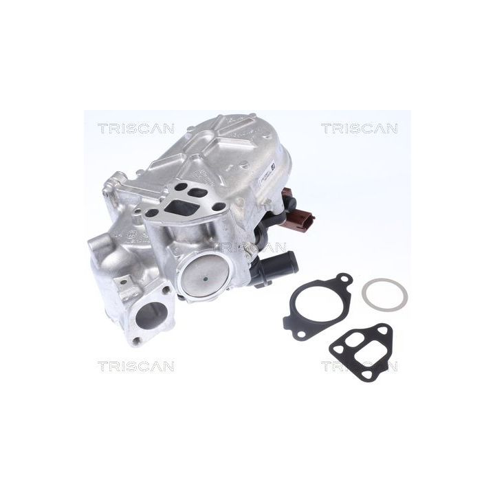 Aušintuvas, išmetamųjų dujų recirkuliacija TRISCAN 8813 10107