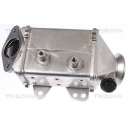 Aušintuvas, išmetamųjų dujų recirkuliacija TRISCAN 8813 10113