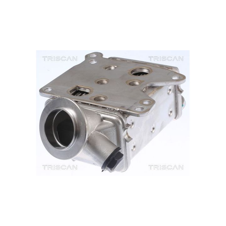 Aušintuvas, išmetamųjų dujų recirkuliacija TRISCAN 8813 10113