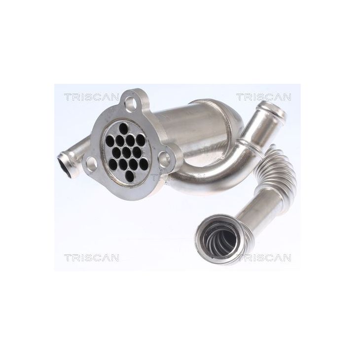 Aušintuvas, išmetamųjų dujų recirkuliacija TRISCAN 8813 10114