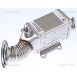 Aušintuvas, išmetamųjų dujų recirkuliacija TRISCAN 8813 10115