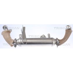 Aušintuvas, išmetamųjų dujų recirkuliacija TRISCAN 8813 15071