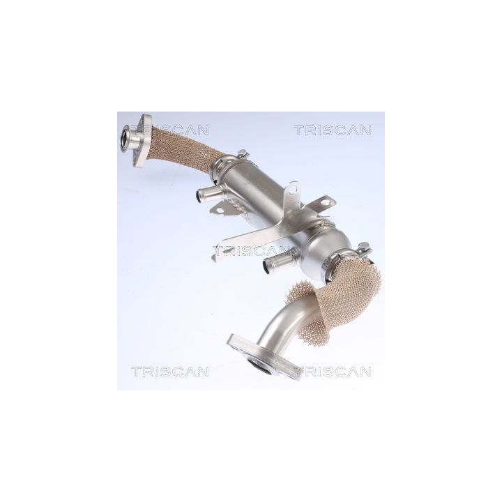 Aušintuvas, išmetamųjų dujų recirkuliacija TRISCAN 8813 15071