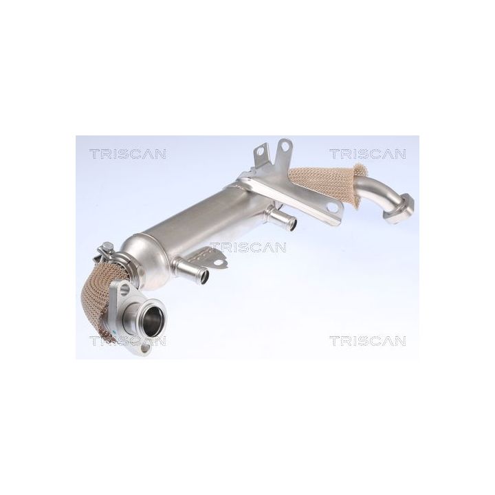 Aušintuvas, išmetamųjų dujų recirkuliacija TRISCAN 8813 15071