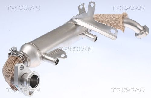 Aušintuvas, išmetamųjų dujų recirkuliacija TRISCAN 8813 15071