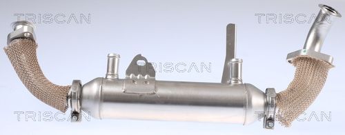 Aušintuvas, išmetamųjų dujų recirkuliacija TRISCAN 8813 15071