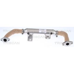 Aušintuvas, išmetamųjų dujų recirkuliacija TRISCAN 8813 15072
