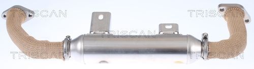 Aušintuvas, išmetamųjų dujų recirkuliacija TRISCAN 8813 15072