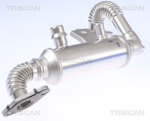Aušintuvas, išmetamųjų dujų recirkuliacija TRISCAN 8813 16111