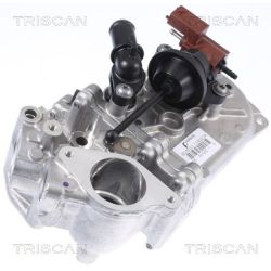 Aušintuvas, išmetamųjų dujų recirkuliacija TRISCAN 8813 24104