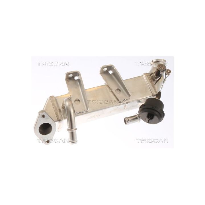 Aušintuvas, išmetamųjų dujų recirkuliacija TRISCAN 8813 25103