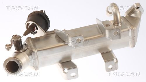 Aušintuvas, išmetamųjų dujų recirkuliacija TRISCAN 8813 25103