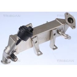 Aušintuvas, išmetamųjų dujų recirkuliacija TRISCAN 8813 25104